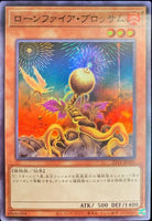 21TP-JP101 - Yugioh - Japanese - Lonefire Blossom - Super