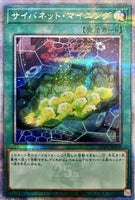 QCCU-JP109 - Yugioh - Japanese - Cynet Mining - Quarter Century Secret