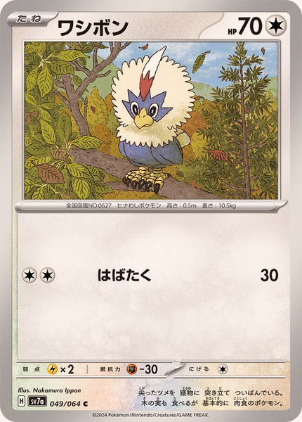 049-064-SV7A-B - Pokemon Card - Japanese - Rufflet - C