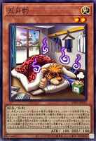 INFO-JP031 - Yugioh - Japanese - May Malaipard - Normal Rare