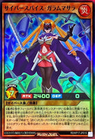 RD-KP17-JP019 - Yugioh - Japanese - Cybersepice Garam Masala - Super