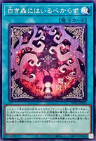 INFO-JP059 - Yugioh - Japanese - Beware the White Woods - Common