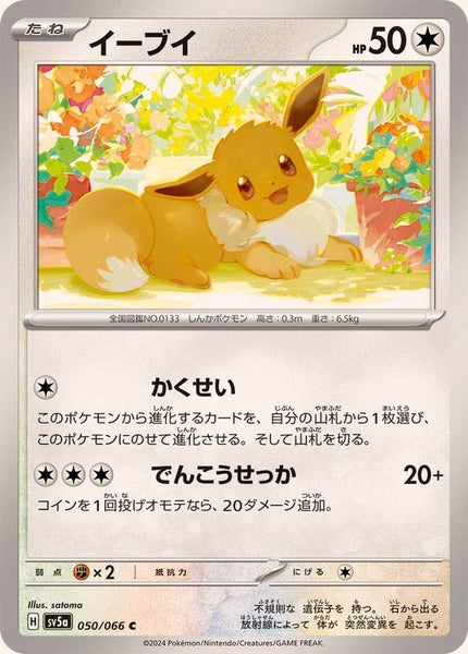 050-066-SV5A-B - Pokemon Card - Japanese - Eevee - C