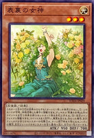 SUDA-JP029 - Yugioh - Japanese - Goddess of Duality - Common