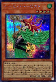 QCCP-JP177 - Yugioh - Japanese - Drytron Gamma Eltanin - Secret