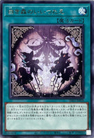 INFO-JP058 - Yugioh - Japanese - Legend of the White Woods - Rare