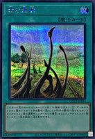 QCCP-JP194 - Yugioh - Japanese - Dragon Shrine - Secret