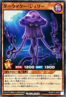 RD-KP17-JP022 - Yugioh - Japanese - Dark Matter Jelly - Common