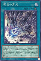 ROTA-JP060 - Yugioh - Japanese - Primoredial Schiller - Common