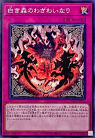 INFO-JP071 - Yugioh - Japanese - Woes of the White Woods - Common