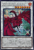 44092501