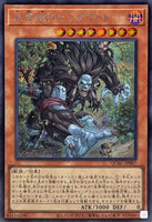 44092603