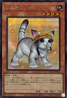 epi