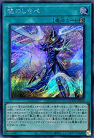 QCCU-JP010 - Yugioh - Japanese - Soul Servant - Secret