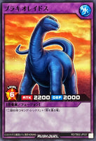 43761032