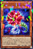 TW02-JP053 - Yugioh - Japanese - Crystal Rose - Normal Parallel