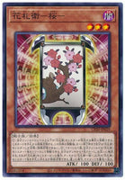 CP20-JP029 - Yugioh - Japanese - Flower Cardian Cherry Blossom - Common