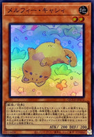 QCCU-JP172 - Yugioh - Japanese - Melffy Catty - Super