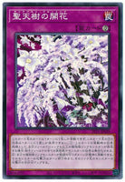 SLT1-JP039 - Yugioh - Japanese - Sunavalon Bloom - Common