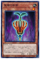 SLT1-JP029 - Yugioh - Japanese - Sunseed Shadow - Common