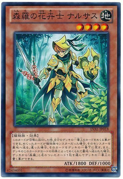 LVAL-JP018 - Yugioh - Japanese - Sylvan Flowerknight - Common