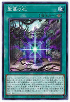 SLT1-JP038 - Yugioh - Japanese - Sunvine Shrine - Common