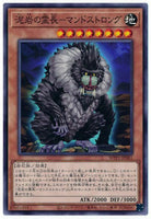 WPP1-JP061 - Yugioh - Japanese - Primineral Mandstrong - Common