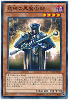 15AY-JPC19 - Yugioh - Japanese - Skilled Dark Magician - Common