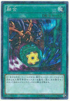 15AX-JPM45 - Yugioh - Japanese - Polymerization - Millennium